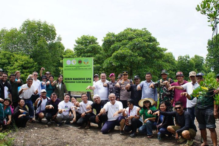 GPIB Catat Sejarah: Tanam 10.000 Mangrove di Langkat, Bukti Nyata Gereja Ramah Lingkungan
