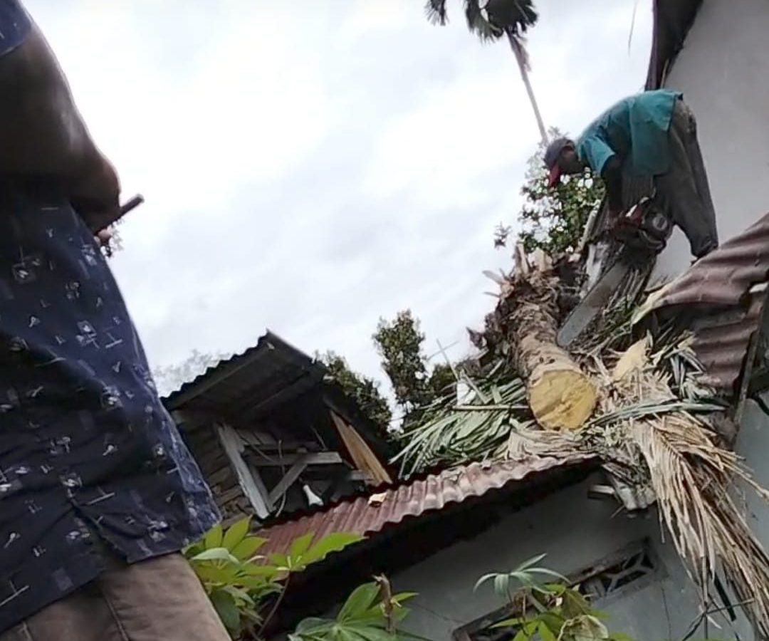 Sebagian Bangunan Gereja GPIB Syalom Rusak Akibat Tertimpa Pohon