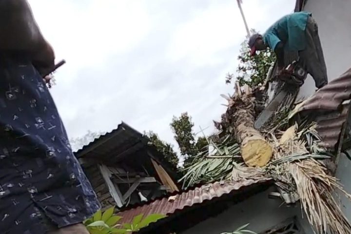 Sebagian Bangunan Gereja GPIB Syalom Rusak Akibat Tertimpa Pohon